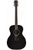 Flight HPLD-500 Ebony Гитара акустическая.-0
